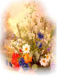 unsere Stellenangebote