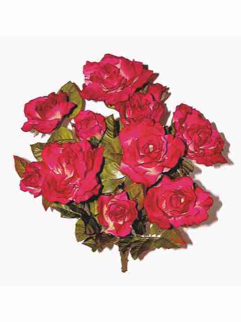 66971 Bild