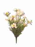 creme rosa