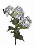 blau grn