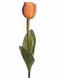 orange gelb