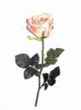 creme/rosa