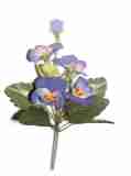 blau/violett